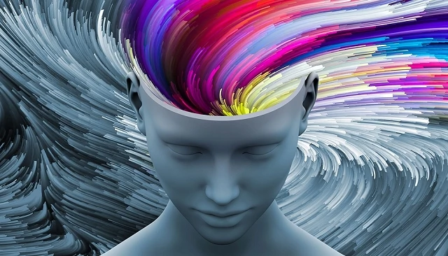 Foto de El cerebro humano: “Yo, el rey”