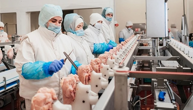 Foto de La avicultura cárnica catalana cierra 2025 con consumo sólido y alta presión sanitaria