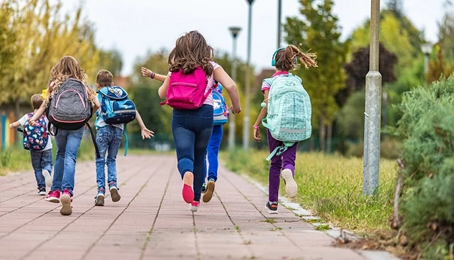 Foto de Vuelta al Cole licenciada: funcionalidad, dise�o y conexi�n emocional
