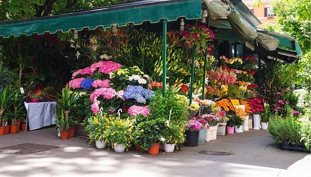 Foto de La industria floral global florece con innovación y responsabilidad