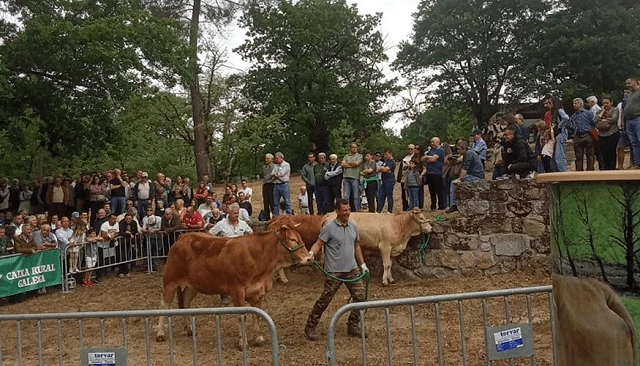 Foto de Acruga obtiene un remate final medio de 3.600 euros en la subasta de Láncara