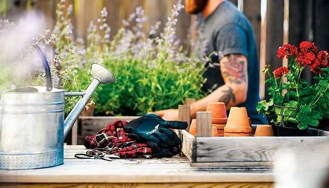 Foto de La jardinería urbana gana terreno en Europa y se consolida como aliada del bienestar