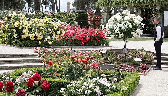 Foto de La Rosaleda del parque del Oeste celebra la 70ª edición del Concurso Internacional de Rosas Nuevas Villa de Madrid