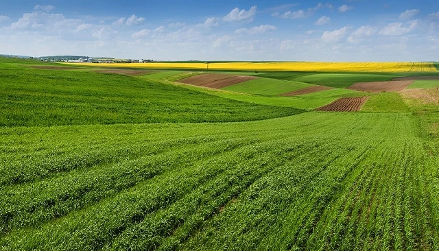 Foto de Ayudas FEGA 2025: importes definitivos para agricultura y ganadería