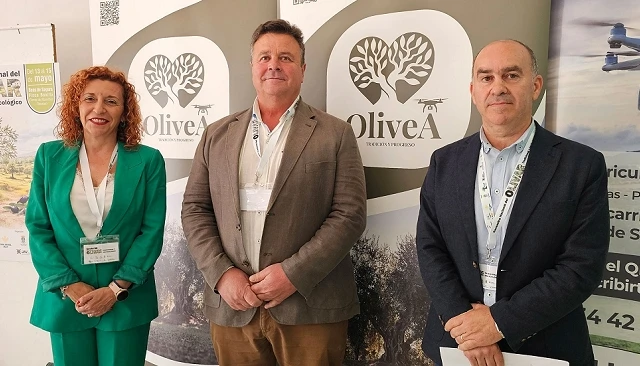 Foto de OliveA defiende diferenciar el AOVE del olivar tradicional para garantizar la rentabilidad de las explotaciones