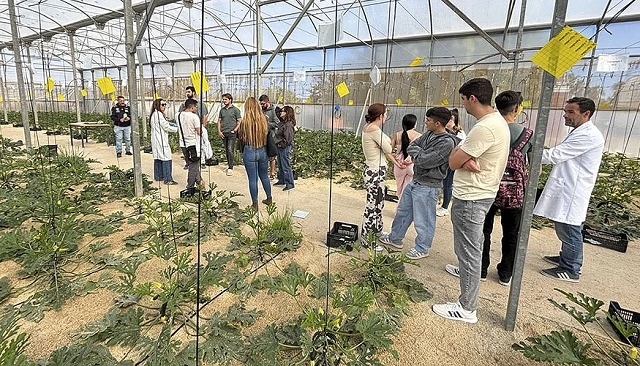 Foto de AgroPuriTech prueba en lechuga y calabacín técnicas para valorizar el purín de porcino