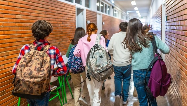 Foto de Licencias, funcionalidad y nuevas tendencias culturales definen el mercado escolar