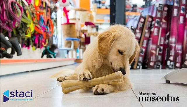 Foto de Más de 5.000 millones de euros y una ley que lo cambia todo: el PLV en tiendas de mascotas se reinventa con Staci
