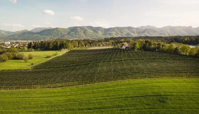 Foto de Buscador para consultar las reducciones de módulos del IRPF en agricultura y ganadería