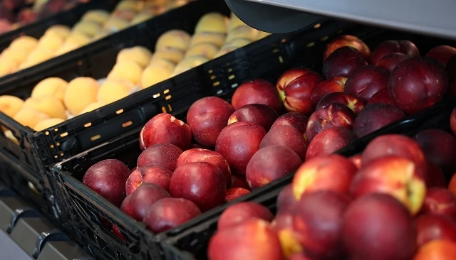Foto de El 83% de las empresas hortofrutícolas prevé incrementar sus ventas en 2026
