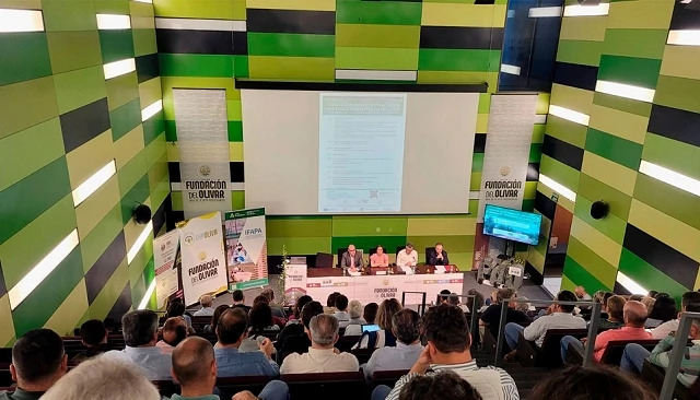 Foto de El IFAPA presenta tres nuevas variedades de olivo resistentes a la verticilosis
