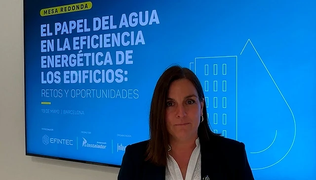 Foto de Farners Salvi, directora de Efintec 