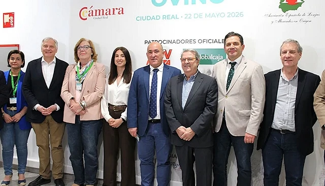 Foto de Castilla-La Mancha pide a los ganaderos vacunar de forma masiva contra la lengua azul