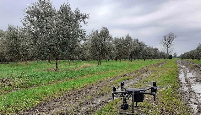 Photo de La conectividad se convierte en un factor clave para el futuro de la agricultura europea