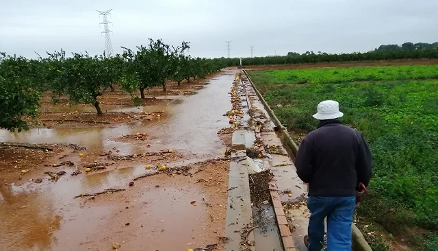 Photo de La superficie de cultivo siniestrada crece un 82% hasta abril
