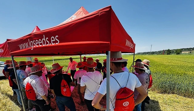 Foto de Semillas LG presenta en Valladolid su apuesta por la innovación en colza y cereal