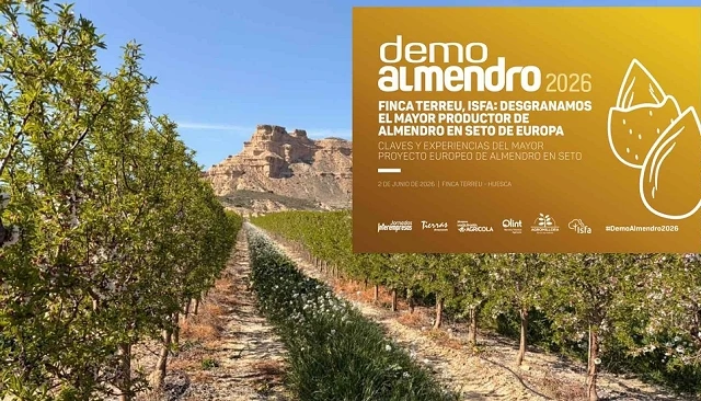 Foto de Todo a punto para otra espectacular edici�n de Demoalmendro 2026