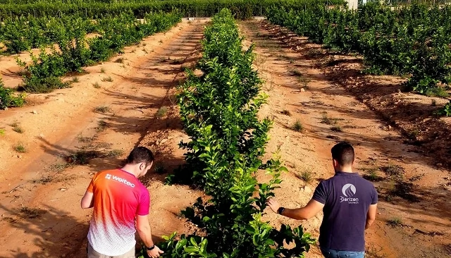 Foto de Biorizon Biotech y Weitec sellan una alianza estratégica para impulsar la lucha integrada y la agricultura de precisión