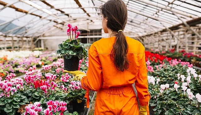 Foto de La exportación española de flores y plantas vivas crece un 10% hasta marzo y supera los 238 millones de euros