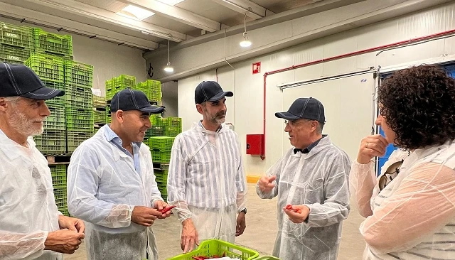 Foto de Los programas operativos, esenciales para la modernización y mejora de la competitividad del sector hortofrutícola andaluz