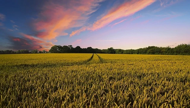 Foto de La facturaci�n de las cooperativas agroalimentarias de Arag�n super� los 1.000 millones en 2025