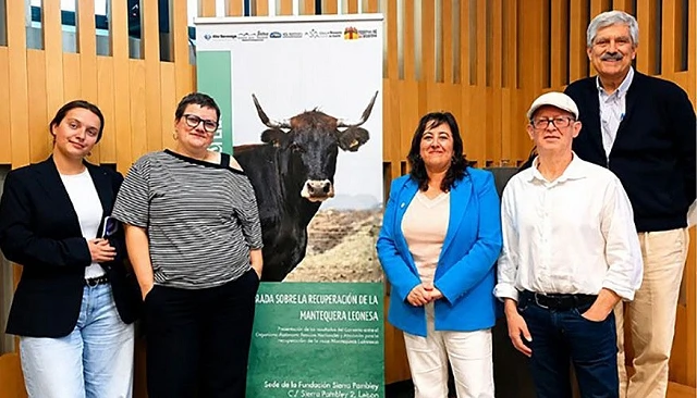 Foto de La recuperaci�n de la vaca Mantequera Leonesa avanza con nuevas actuaciones