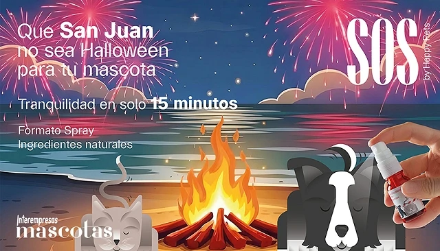 Foto de Miedo intenso, temblores, jadeo, taquicardias o intentos de huida: as� es la noche de San Juan para las mascotas
