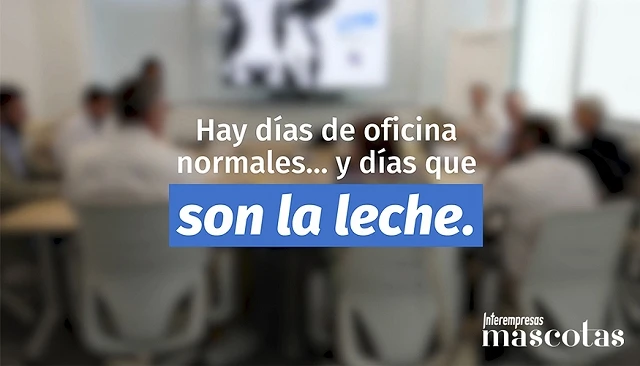 Foto de Elanco celebra el D�a Mundial de la Leche promoviendo el valor nutricional de los l�cteos
