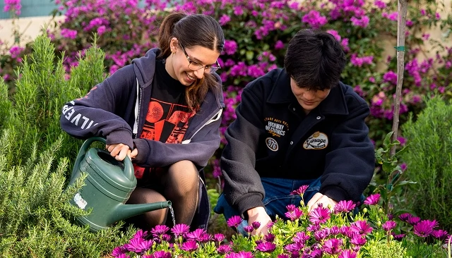 Foto de The British School of Barcelona convierte la sostenibilidad en una competencia de futuro