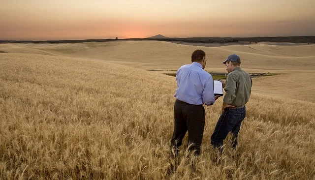Foto de Agricultura, carbono y competitividad: una nueva oportunidad para el campo español