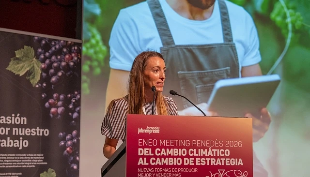 Foto de Innovar para crecer: IA y ERP en la bodega del futuro