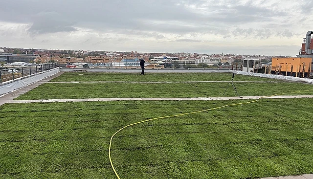 Foto de La implantación de cubiertas verdes impulsa la transformación sostenible de edificios industriales y comerciales