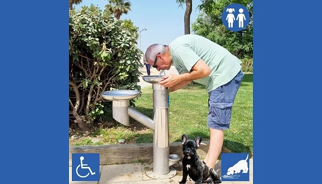Foto de Fuente para perros: modelos antivand�licos para parques (2026)