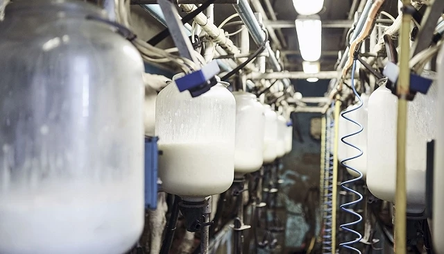 Foto de Los ganaderos gallegos perder�n 3.500 euros mensuales por granja tras la bajada del precio de la leche