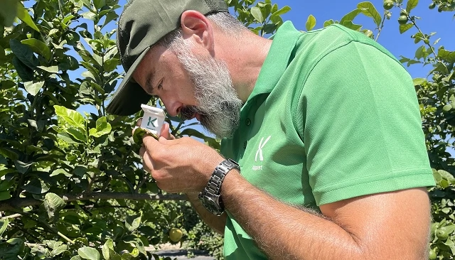 Foto de La sanidad vegetal y el papel de los ingenieros agrícolas