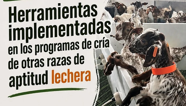 Foto de Los ganaderos de Florida se citan el 23 de junio en una jornada pr�ctica de formaci�n