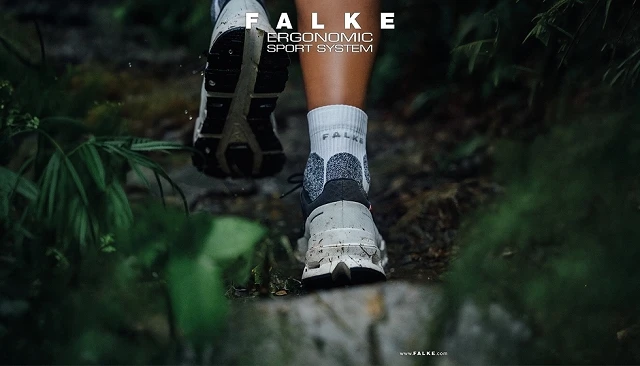 Foto de FALKE ESS busca representante multicartera