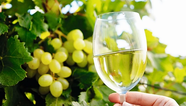 Fotografia de El vino blanco representa ya el 57% de la producci�n de la campa�a 2025/2026, seg�n OIVE