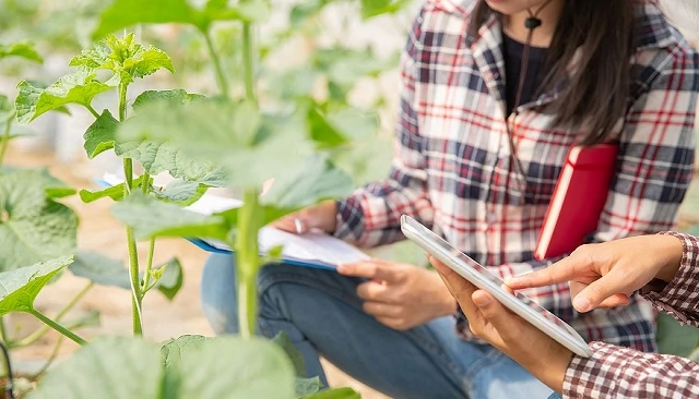 Foto de Claves de las ayudas para explotaciones agrarias de titularidad compartida en 2026