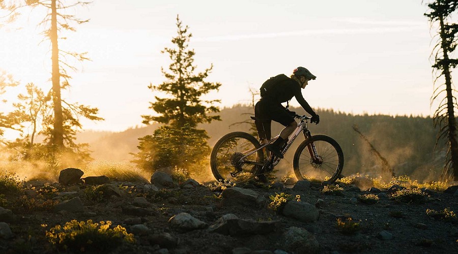 Foto de Prescripciones con IA