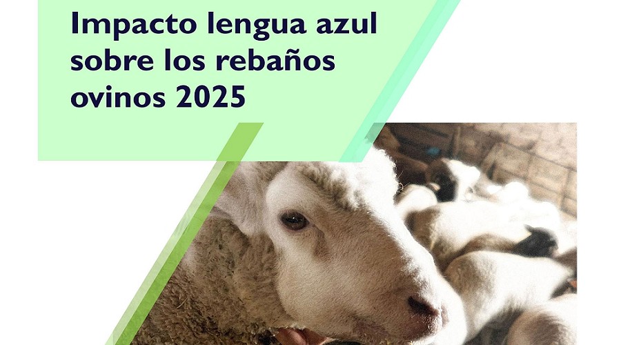 Foto de La lengua azul dispara hasta el 50% la morbilidad y deja un impacto econ�mico duradero