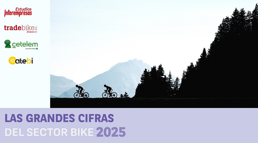 Foto de M�s valor, pero menos unidades: Las Grandes Cifras del Sector Bike 2025