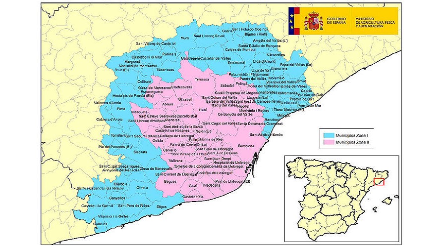 Foto de La peste porcina africana confirma su expansi�n y obliga a ampliar las zonas restringidas en Barcelona