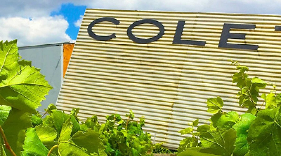Foto de De campesinos arrendatarios a vignerons: Colet reivindica la vi�a como origen del vino