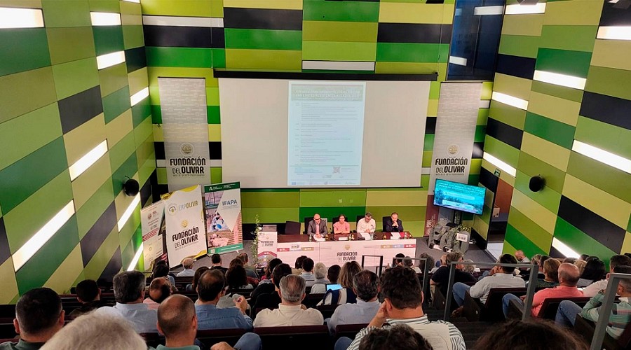 Foto de El IFAPA presenta tres nuevas variedades de olivo resistentes a la verticilosis