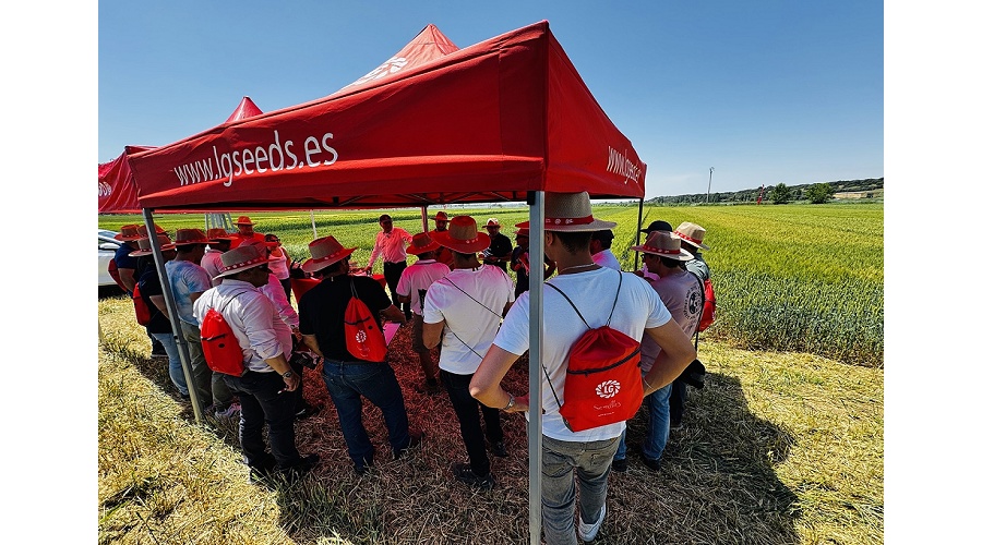 Foto de Semillas LG presenta en Valladolid su apuesta por la innovaci�n en colza y cereal