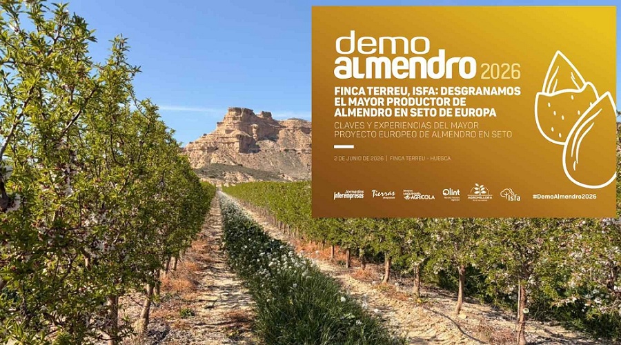 Foto de Todo a punto para otra espectacular edici�n de Demoalmendro 2026