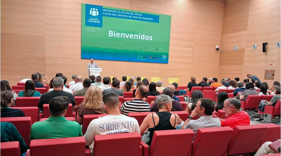 Foto de Blindaje contra los trips: el �xito del control biol�gio exige un buen manejo t�cnico y urgencia regulatoria