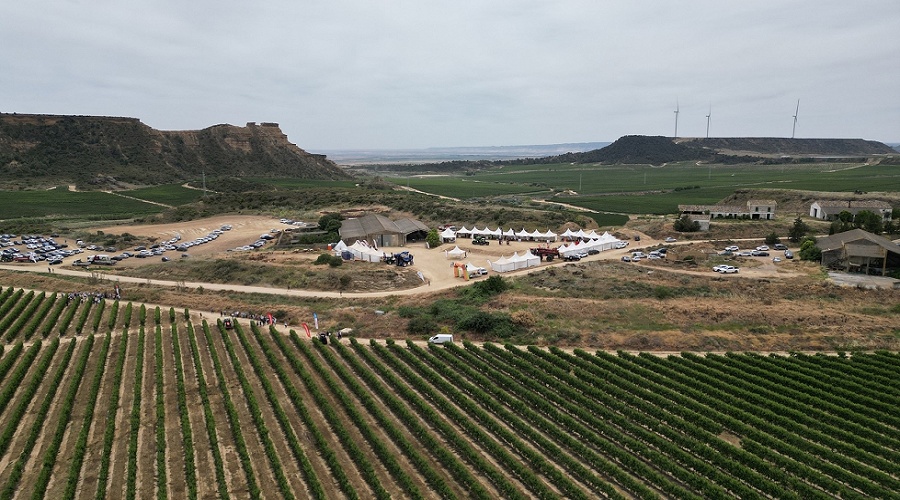Foto de DemoAlmendro 2026: gesti�n y tecnolog�a impulsan la transformaci�n del cultivo