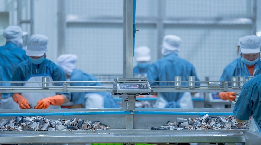 Foto de La industria espa�ola del mar impulsa sus exportaciones mientras el consumo interno sigue a la baja